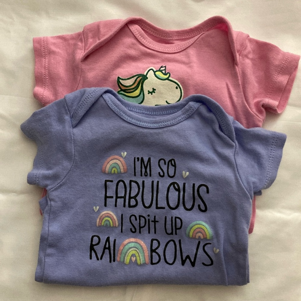 Baby Girl Onesies. Excellent Condition. 6-9 months. Set of 2.